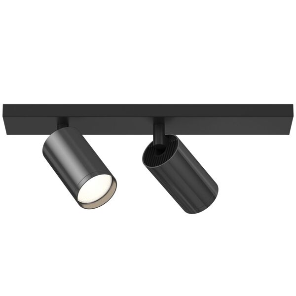 Потолочный светильник Technical C051CL-02BGF