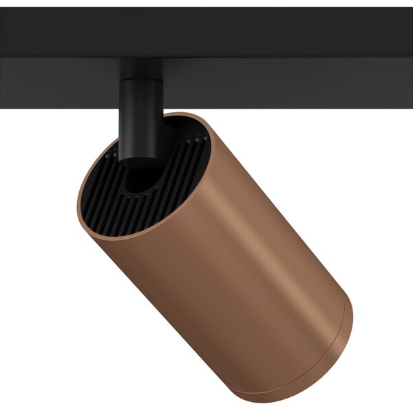 Потолочный светильник Technical C051CL-02BC