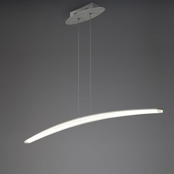 PENDANT 1L+C6730:C6839 [ALUMINIUM]