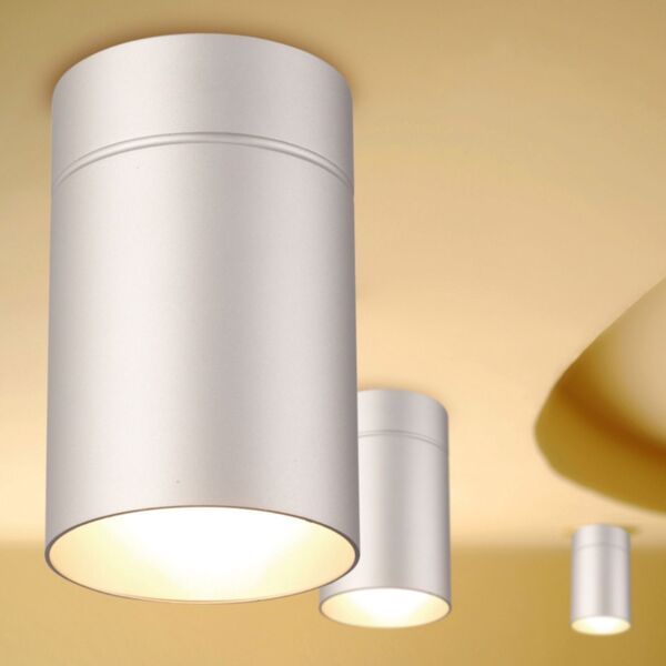 CEILING 1L  SILVER