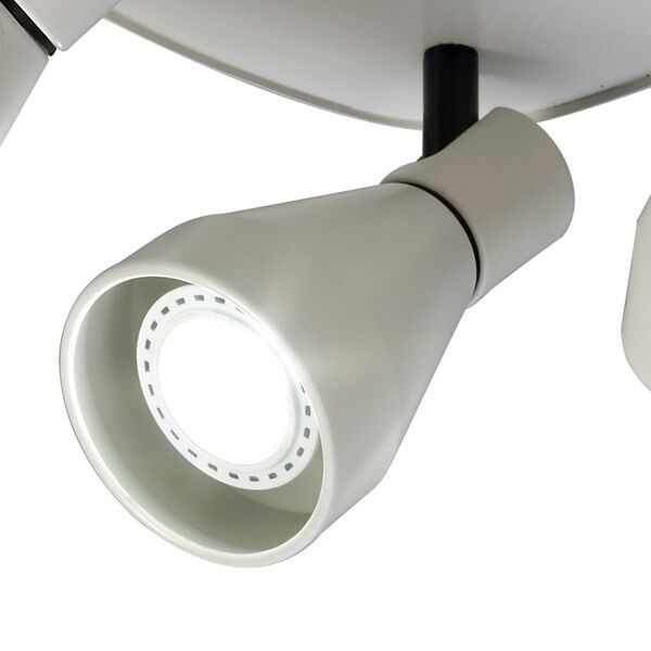 SPOTLIGHT 3L WHITE]