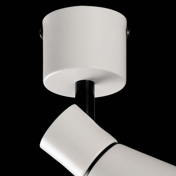 SPOTLIGHT 1L WHITE]