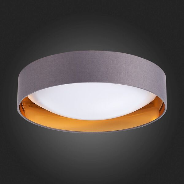 SLE201112-01 Светильник потолочный Серый, Золото/Белый LED 1*24W