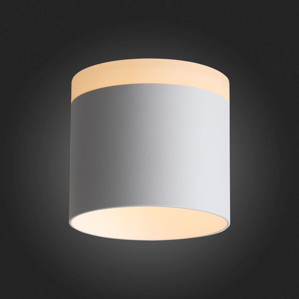 ST102.502.12 Светильник потолочный ST-Luce Белый/Белый LED 1*12W