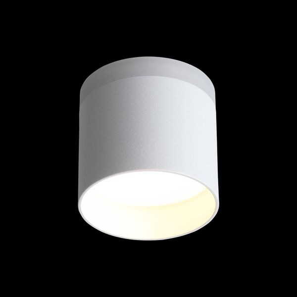 ST102.502.12 Светильник потолочный ST-Luce Белый/Белый LED 1*12W