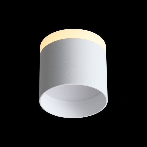 ST102.502.12 Светильник потолочный ST-Luce Белый/Белый LED 1*12W
