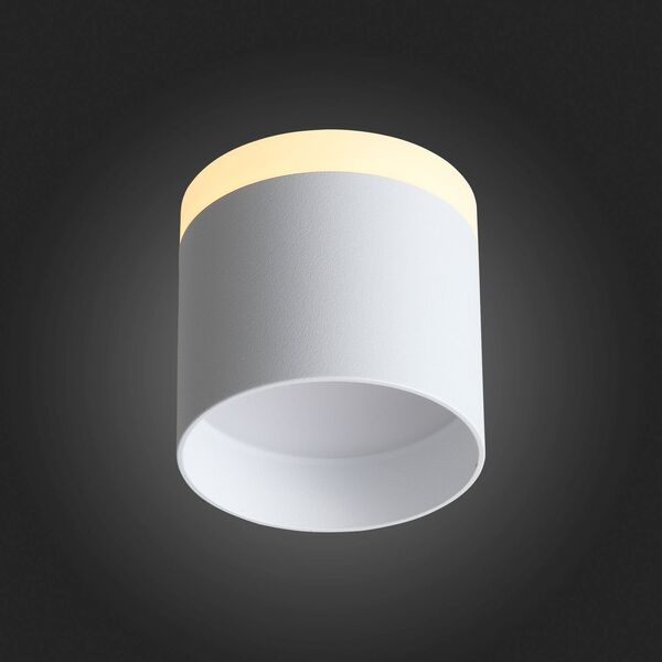 ST102.502.12 Светильник потолочный ST-Luce Белый/Белый LED 1*12W