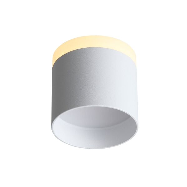 ST102.502.12 Светильник потолочный ST-Luce Белый/Белый LED 1*12W