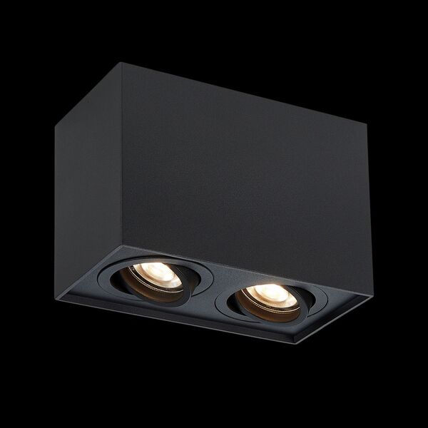 ST109.407.02 Потолочный светильник ST-Luce Матовый черный/Матовый черный GU10 2*50W