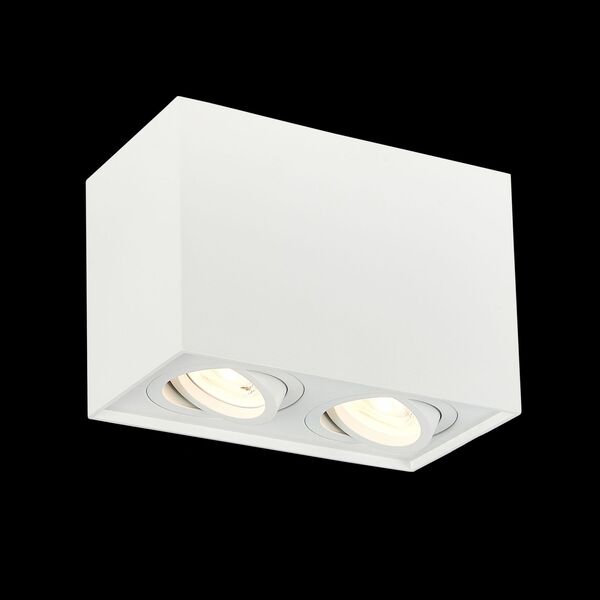 ST109.507.02 Потолочный светильник ST-Luce Матовый белый/Матовый белый GU10 2*50W