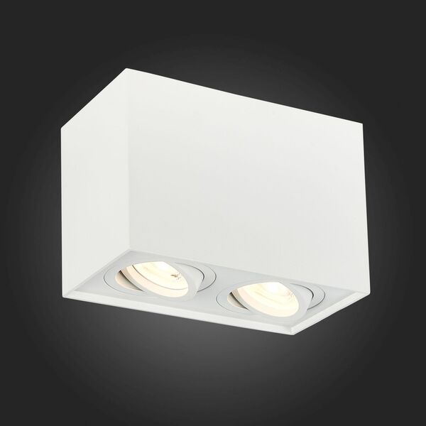 ST109.507.02 Потолочный светильник ST-Luce Матовый белый/Матовый белый GU10 2*50W