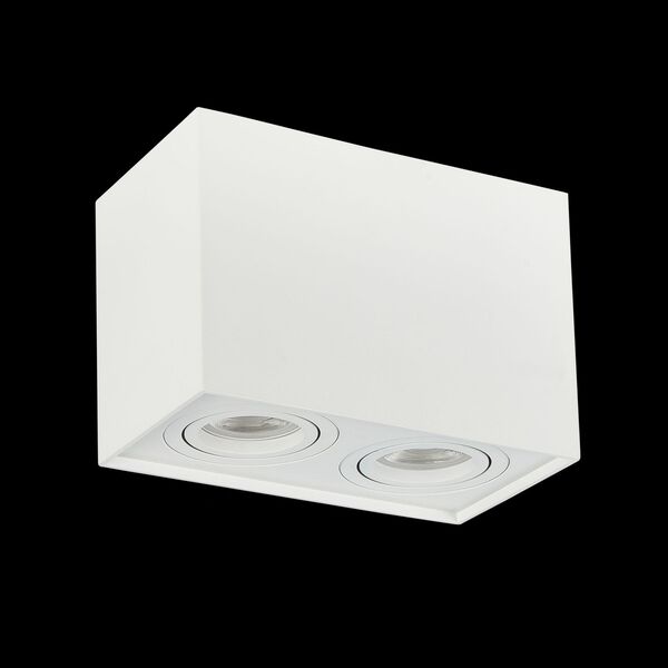 ST109.507.02 Потолочный светильник ST-Luce Матовый белый/Матовый белый GU10 2*50W