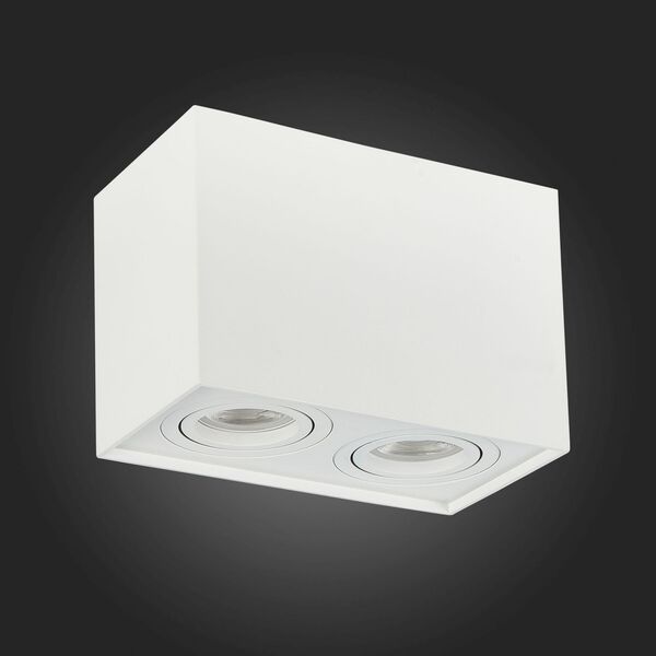 ST109.507.02 Потолочный светильник ST-Luce Матовый белый/Матовый белый GU10 2*50W