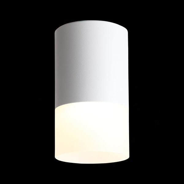 ST100.542.05 Светильник потолочный Белый LED 1*5W 4000K 390Lm Ra>80 120° D64xH110 170-240V