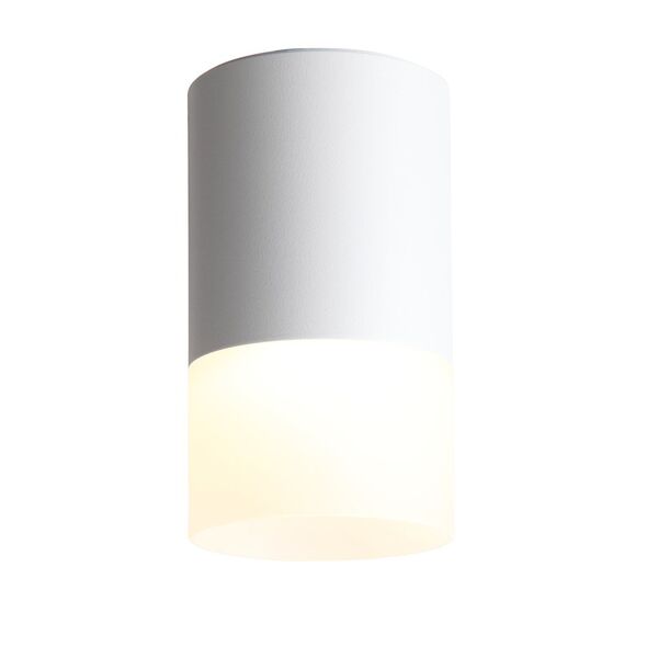 ST100.542.05 Светильник потолочный Белый LED 1*5W 4000K 390Lm Ra>80 120° D64xH110 170-240V