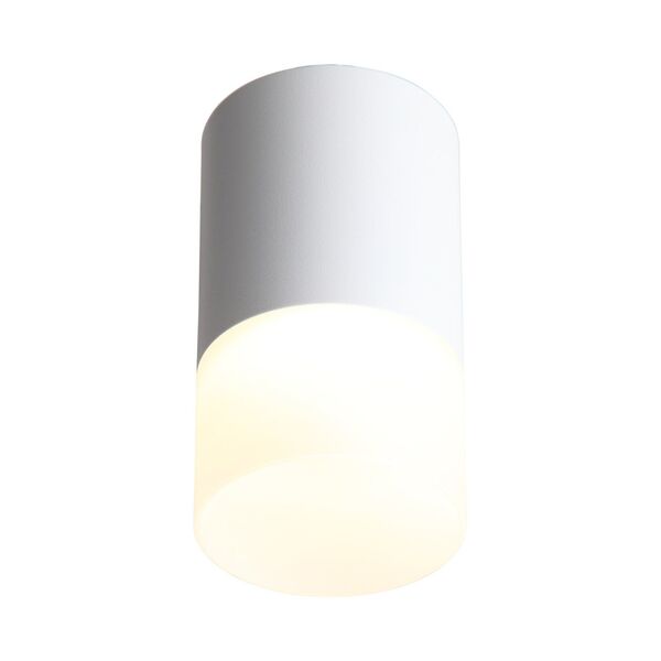 ST100.542.05 Светильник потолочный Белый LED 1*5W 4000K 390Lm Ra>80 120° D64xH110 170-240V