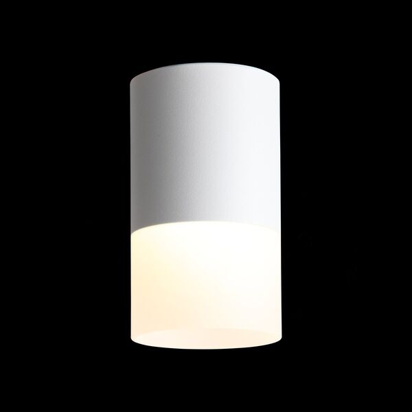 ST100.542.10 Светильник потолочный Белый LED 1*10W 4000K 780Lm Ra>80 120° D78xH135 170-240V