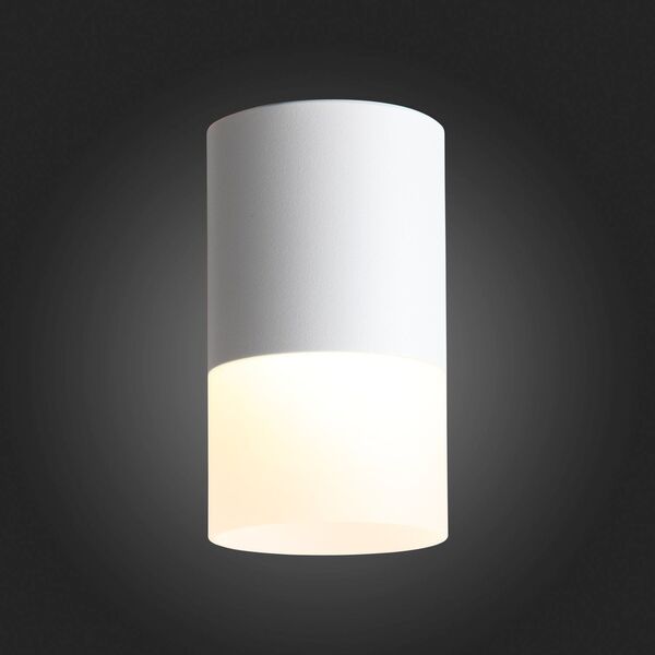 ST100.542.10 Светильник потолочный Белый LED 1*10W 4000K 780Lm Ra>80 120° D78xH135 170-240V