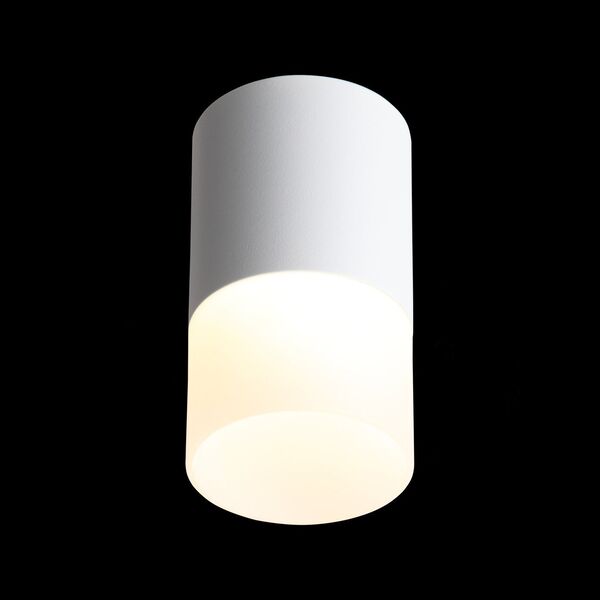 ST100.542.10 Светильник потолочный Белый LED 1*10W 4000K 780Lm Ra>80 120° D78xH135 170-240V