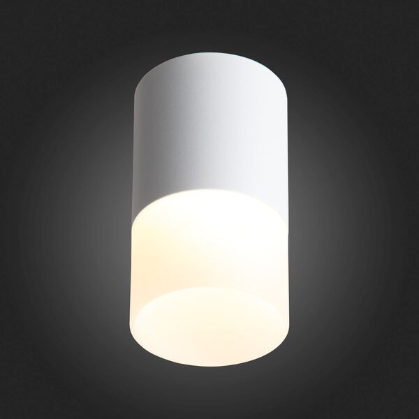 ST100.542.10 Светильник потолочный Белый LED 1*10W 4000K 780Lm Ra>80 120° D78xH135 170-240V
