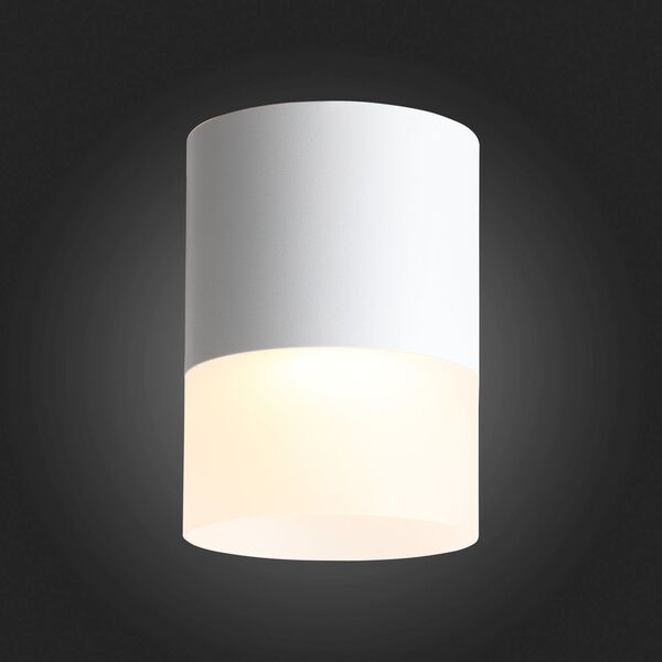 ST100.542.15 Светильник потолочный Белый LED 1*15W 4000K 1 170Lm Ra>80 120° D118xH150 170-240V
