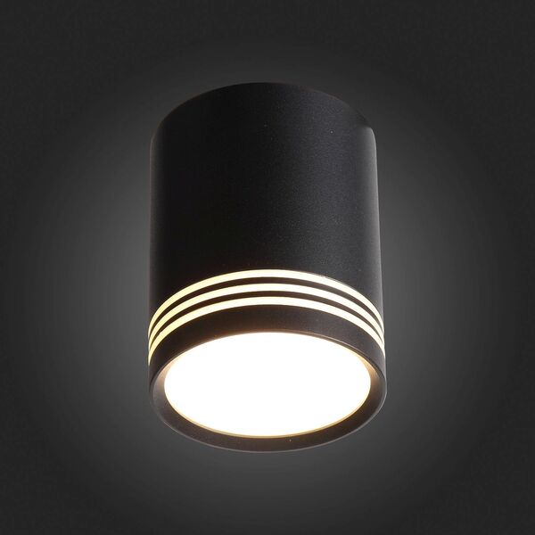 ST101.442.12 Светильник потолочный Черный LED 1*12W 4000K 936Lm Ra>80 120° IP20 D79xH100 170-240V