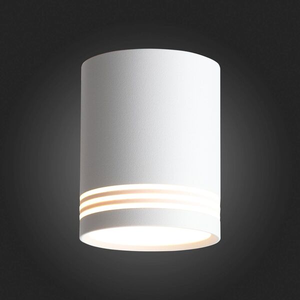 ST101.542.12 Светильник потолочный Белый LED 1*12W 4000K 936Lm Ra>80 120° IP20 D79xH100 170-240V