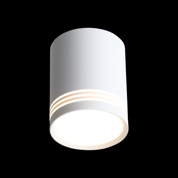 ST101.542.12 Светильник потолочный Белый LED 1*12W 4000K 936Lm Ra>80 120° IP20 D79xH100 170-240V