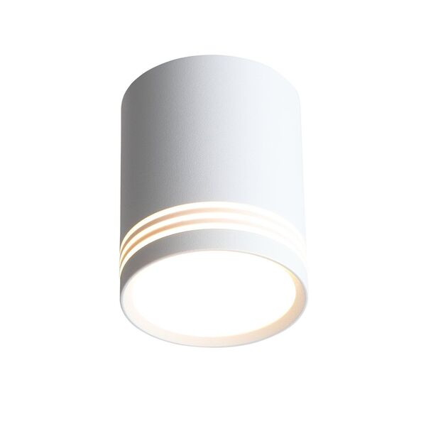 ST101.542.12 Светильник потолочный Белый LED 1*12W 4000K 936Lm Ra>80 120° IP20 D79xH100 170-240V