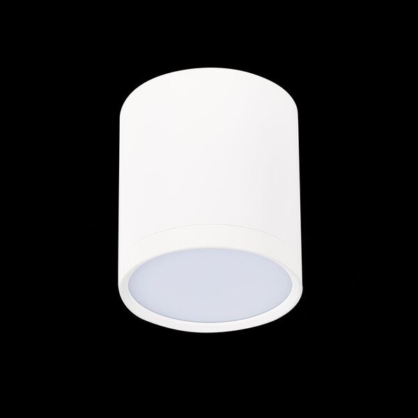 ST113.532.05 Светильник потолочный Белый LED 1*5W 3000K 390Lm Ra>80 120° IP20 D68xH75 170-240V