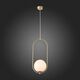 Светильник подвесной ST-Luce PENOLO [Золото/Белый E27 1*40W]