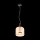 Светильник подвесной ST-Luce PALOCHINO [Золото/Коричневый LED 1*6W]