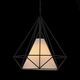 Светильник подвесной ST-Luce PALIEDRO [Черный/Черный, Белый E27 1*60W]