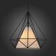 Светильник подвесной ST-Luce PALIEDRO [Черный/Черный, Белый E27 1*60W]