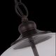 Подвесной светильник ST Luce Lateria [Коричневый/Прозрачный E14 3*60W]