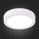 ST112.532.12 Светильник настенно-потолочный Белый LED 1*12W 3000K 715Lm Ra80 120° IP20 D160xH28 90-2