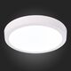 ST112.532.18 Светильник настенно-потолочный Белый LED 1*18W 3000K 1 225Lm Ra80 120° IP20 D210xH28 90