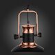 Подвесной светильник ST Luce Lanterio [Медь,Черный/Белый E27 1*60W]
