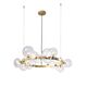 AGATA SP15 V2 GOLD/TRANSPARENTE ,