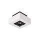 XIRAX Ceiling Light 1xGU10/5W LED  DTW  White