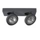 NENAD Spot AR111 2x10W 33/12/8cm Grey