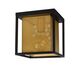 SANSA Ceiling light 1xE27/40W Black/Gold