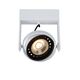 GRIFFON Ceiling spotlight Dim-to-warm 1GU10 12W Wh