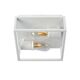 CARLYN Ceiling Light Bathroom 2x E14/6W White