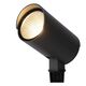 MANAL Garden Spot Light ground spike LED 12W Anth
