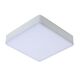CERES Ceiling Light LED 30W L21.5 B21.5 H5cm White