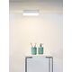 CERES Ceiling Light LED 30W L21.5 B21.5 H5cm White