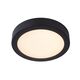 BRICE-LED Ceiling L Dimmable15W Ø23.5cm IP44 Black