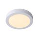 BRICE-LED Ceiling L Dimmable15W Ø23.5cm IP44