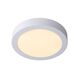 BRICE-LED Ceiling L Dimmable15W Ø23.5cm IP44
